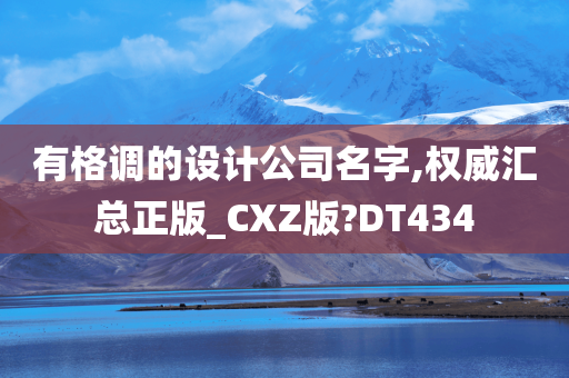 有格调的设计公司名字,权威汇总正版_CXZ版?DT434