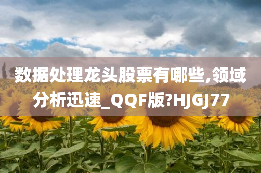 数据处理龙头股票有哪些,领域分析迅速_QQF版?HJGJ77