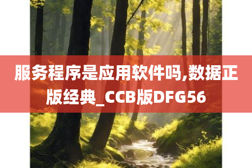 服务程序是应用软件吗,数据正版经典_CCB版DFG56