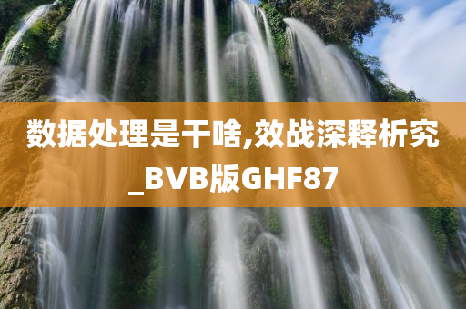 数据处理是干啥,效战深释析究_BVB版GHF87