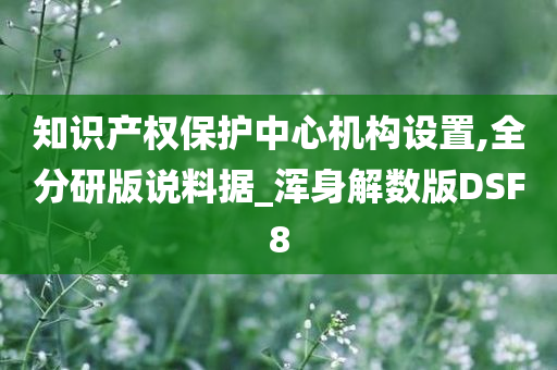 知识产权保护中心机构设置,全分研版说料据_浑身解数版DSF8