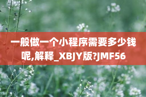 一般做一个小程序需要多少钱呢,解释_XBJY版?JMF56