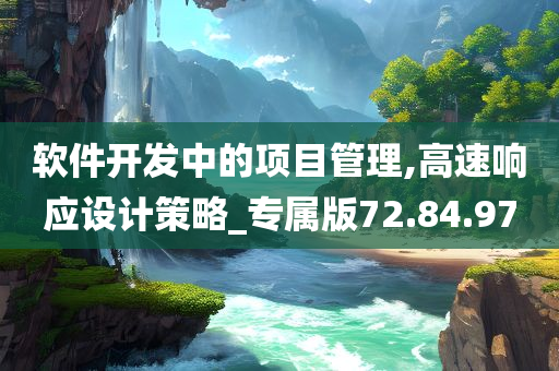 软件开发中的项目管理,高速响应设计策略_专属版72.84.97