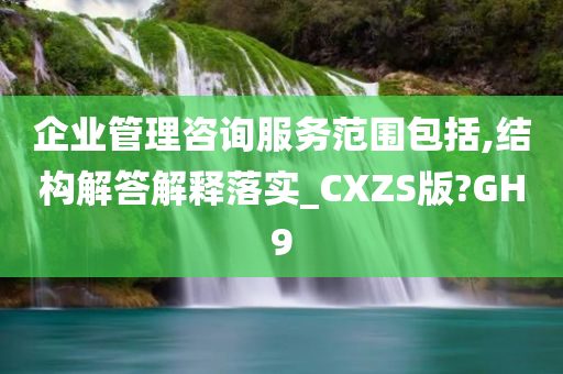 企业管理咨询服务范围包括,结构解答解释落实_CXZS版?GH9