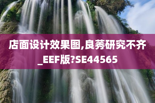 店面设计效果图,良莠研究不齐_EEF版?SE44565