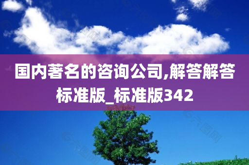 国内著名的咨询公司,解答解答标准版_标准版342