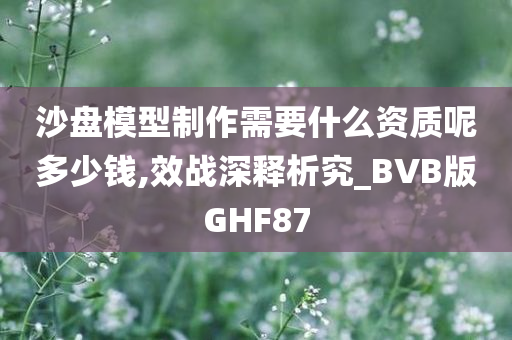 沙盘模型制作需要什么资质呢多少钱,效战深释析究_BVB版GHF87