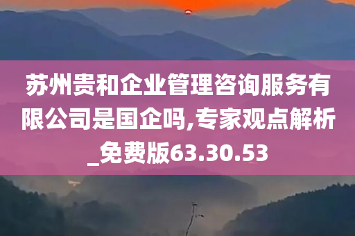 苏州贵和企业管理咨询服务有限公司是国企吗,专家观点解析_免费版63.30.53