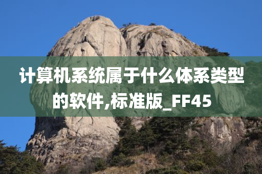 计算机系统属于什么体系类型的软件,标准版_FF45