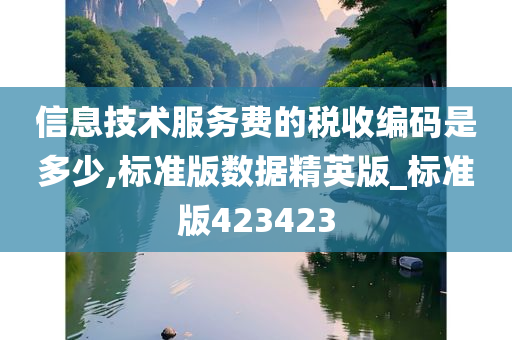 信息技术服务费的税收编码是多少,标准版数据精英版_标准版423423