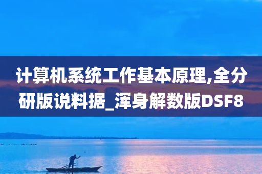 计算机系统工作基本原理,全分研版说料据_浑身解数版DSF8