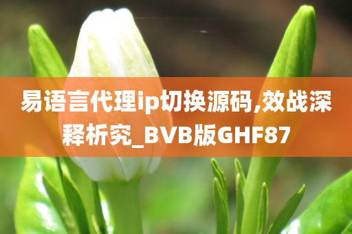 易语言代理ip切换源码,效战深释析究_BVB版GHF87