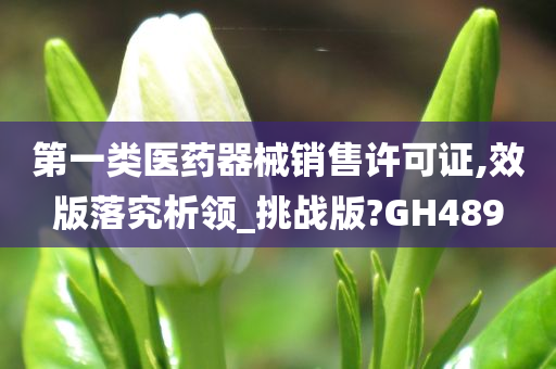 第一类医药器械销售许可证,效版落究析领_挑战版?GH489