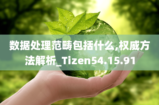 数据处理范畴包括什么,权威方法解析_Tizen54.15.91