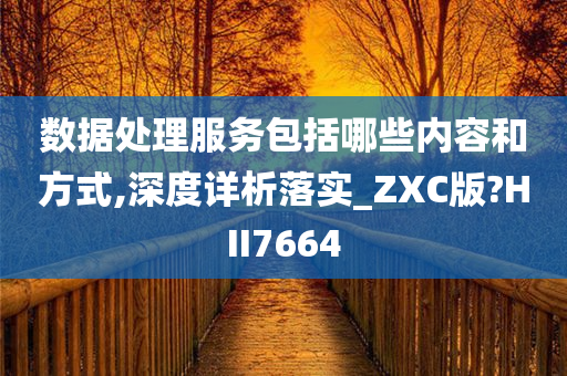 数据处理服务包括哪些内容和方式,深度详析落实_ZXC版?HII7664