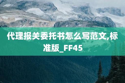 代理报关委托书怎么写范文,标准版_FF45