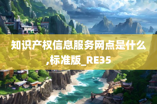 知识产权信息服务网点是什么,标准版_RE35