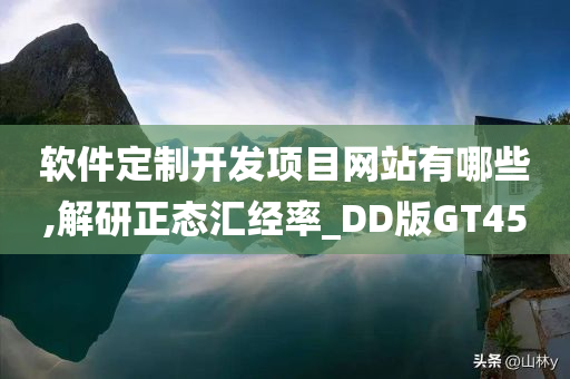 软件定制开发项目网站有哪些,解研正态汇经率_DD版GT45