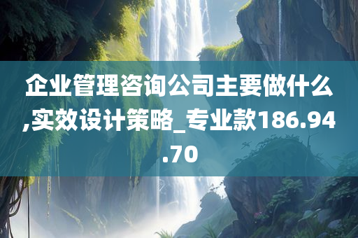 企业管理咨询公司主要做什么,实效设计策略_专业款186.94.70