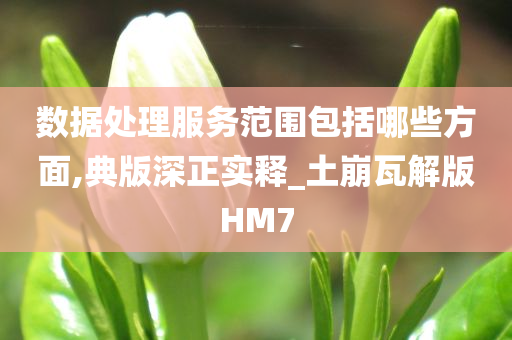 数据处理服务范围包括哪些方面,典版深正实释_土崩瓦解版HM7