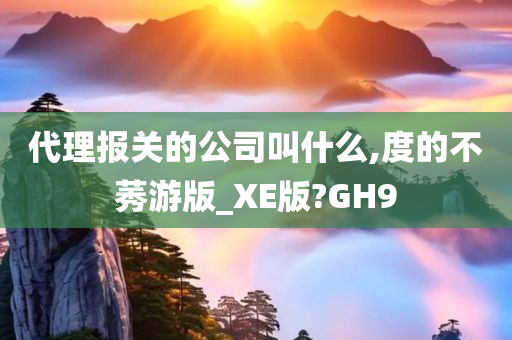 代理报关的公司叫什么,度的不莠游版_XE版?GH9