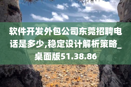 软件开发外包公司东莞招聘电话是多少,稳定设计解析策略_桌面版51.38.86