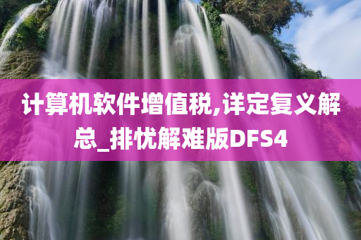 计算机软件增值税,详定复义解总_排忧解难版DFS4