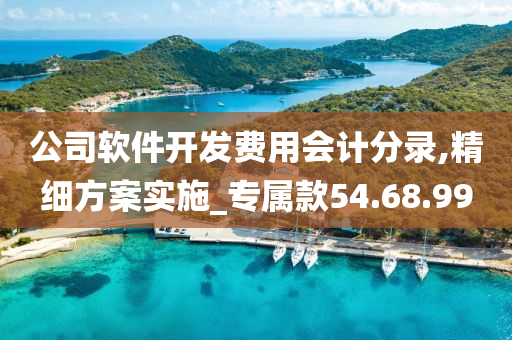 公司软件开发费用会计分录,精细方案实施_专属款54.68.99