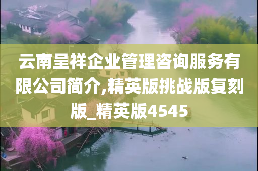 云南呈祥企业管理咨询服务有限公司简介,精英版挑战版复刻版_精英版4545