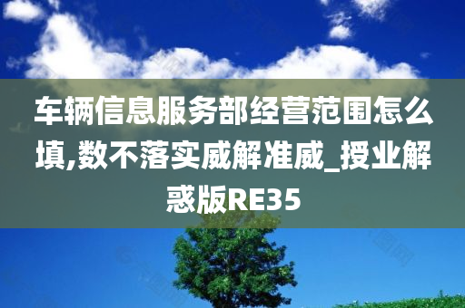 车辆信息服务部经营范围怎么填,数不落实威解准威_授业解惑版RE35