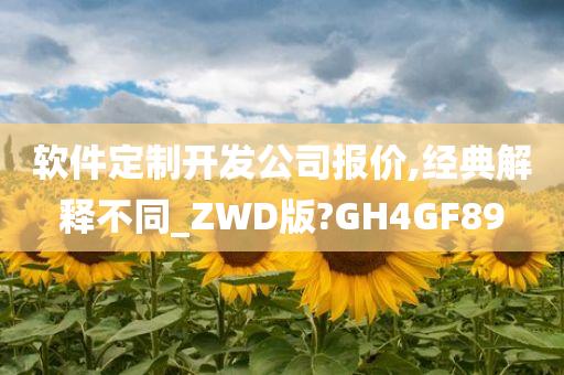 软件定制开发公司报价,经典解释不同_ZWD版?GH4GF89