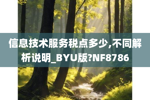 信息技术服务税点多少,不同解析说明_BYU版?NF8786