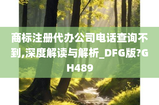 商标注册代办公司电话查询不到,深度解读与解析_DFG版?GH489