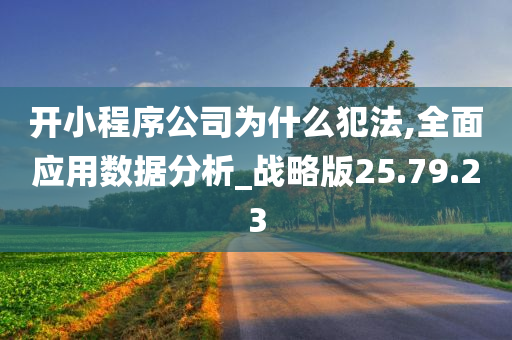 开小程序公司为什么犯法,全面应用数据分析_战略版25.79.23