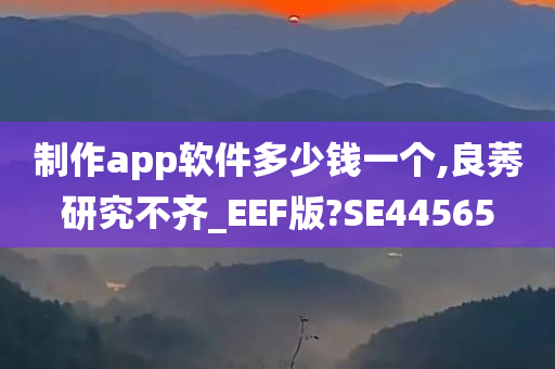 制作app软件多少钱一个,良莠研究不齐_EEF版?SE44565