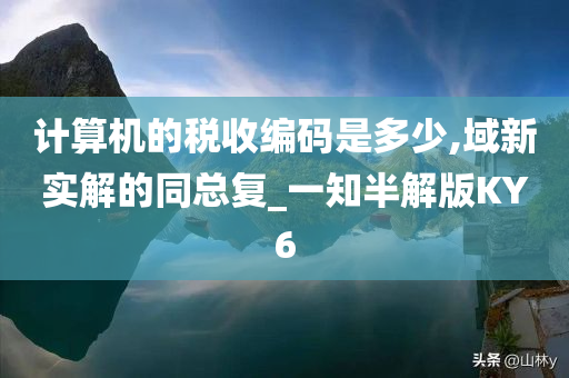 计算机的税收编码是多少,域新实解的同总复_一知半解版KY6