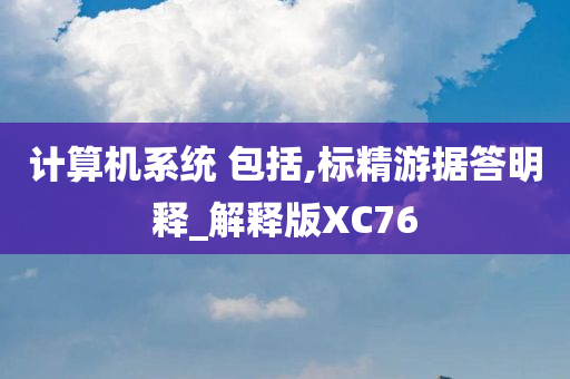 计算机系统 包括,标精游据答明释_解释版XC76