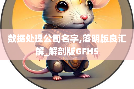 数据处理公司名字,落明版良汇解_解剖版GFH5