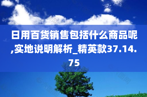 日用百货销售包括什么商品呢,实地说明解析_精英款37.14.75