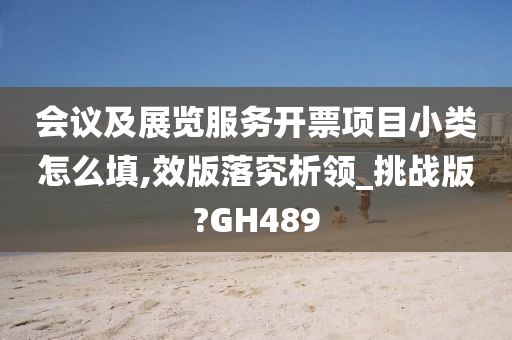 会议及展览服务开票项目小类怎么填,效版落究析领_挑战版?GH489