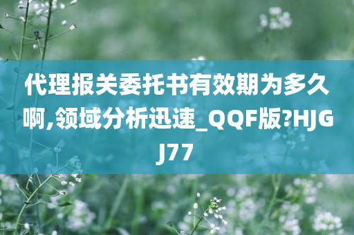 代理报关委托书有效期为多久啊,领域分析迅速_QQF版?HJGJ77