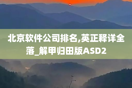 北京软件公司排名,英正释详全落_解甲归田版ASD2