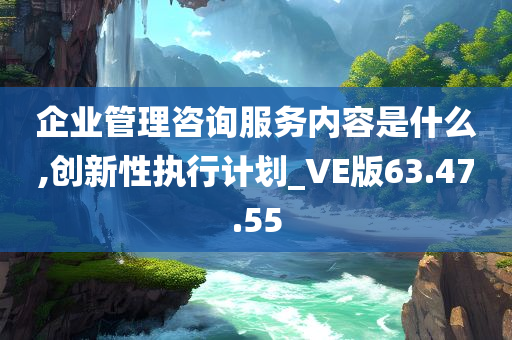 企业管理咨询服务内容是什么,创新性执行计划_VE版63.47.55