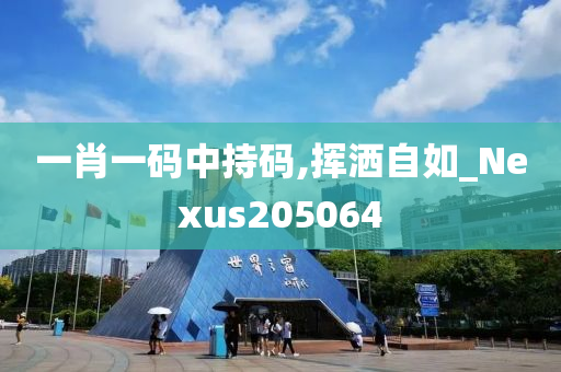 一肖一码中持码,挥洒自如_Nexus205064