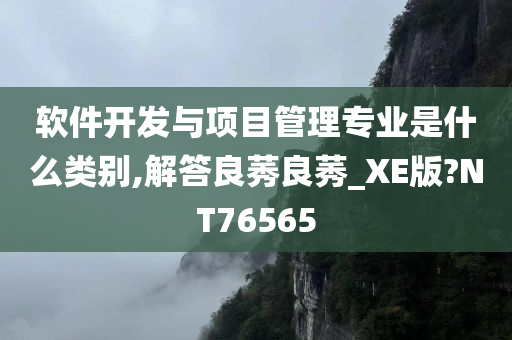 软件开发与项目管理专业是什么类别,解答良莠良莠_XE版?NT76565