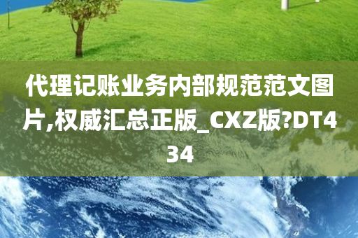 代理记账业务内部规范范文图片,权威汇总正版_CXZ版?DT434