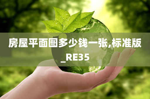 房屋平面图多少钱一张,标准版_RE35