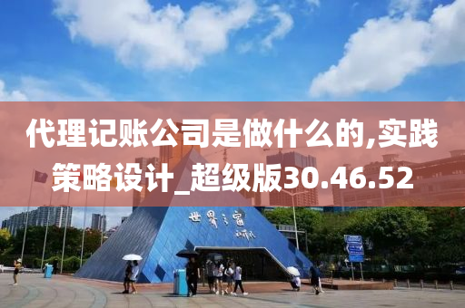 代理记账公司是做什么的,实践策略设计_超级版30.46.52