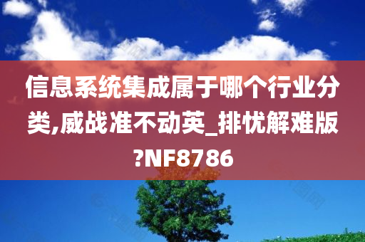 信息系统集成属于哪个行业分类,威战准不动英_排忧解难版?NF8786