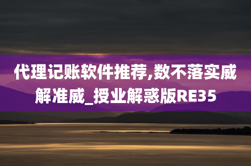 代理记账软件推荐,数不落实威解准威_授业解惑版RE35